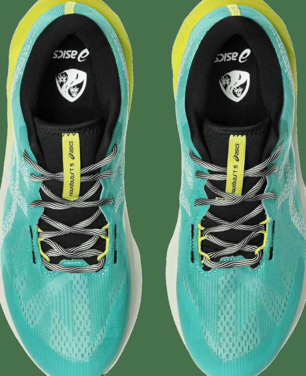 Outlet Asics Men's Novablast 5 TR Aurora Green/Light Dust