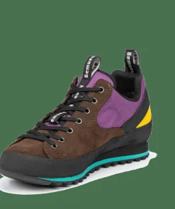Hanwag Men's Rotpunkt Low Gore-Tex Brown/Violet