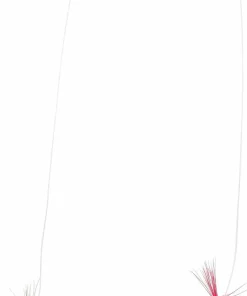 New iFish Gammarus On Leader One Color