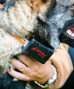 Hot Lafayette GPS Mini Black