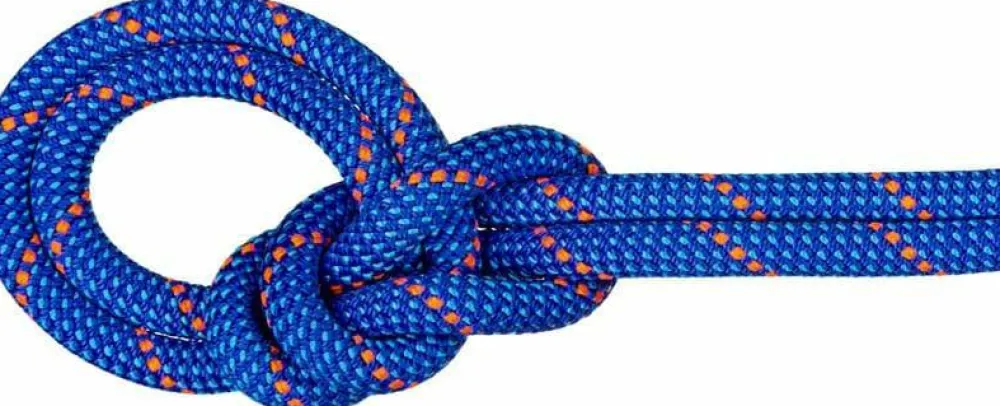 Online Mammut 9.5 Crag Dry Rope 70M Blue-Ocean