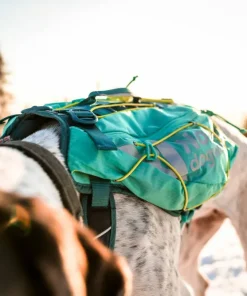 Best Non-stop Dogwear Trail Light Dog Backpack Teal