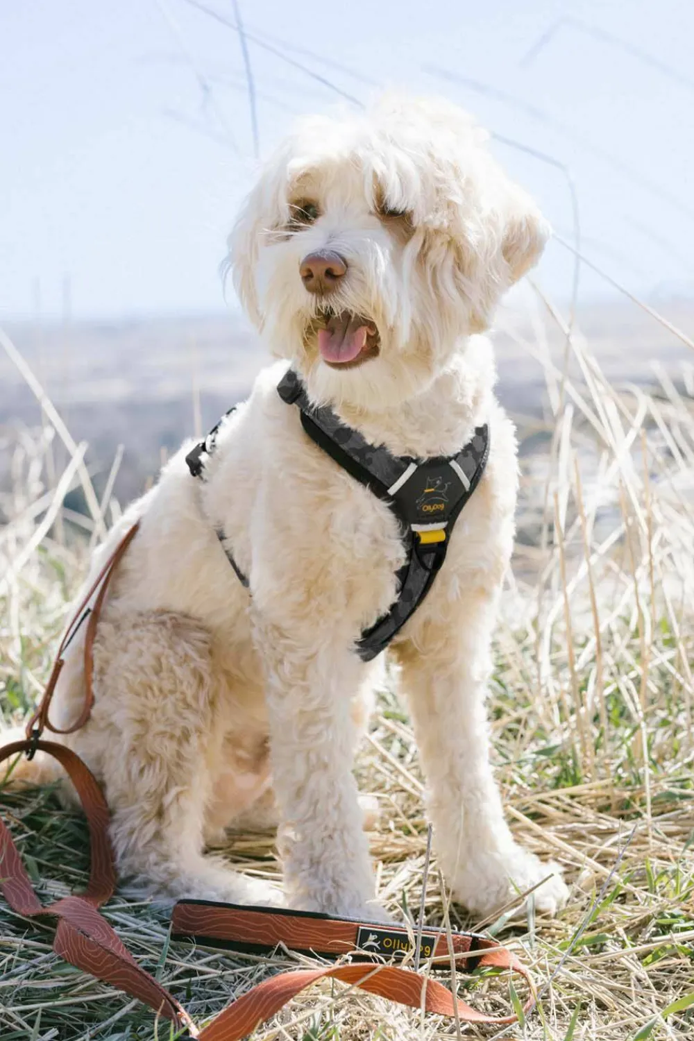 Outlet OllyDog Alpine Reflective Comfort Harness Dream Camo
