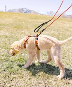 Hot OllyDog Alpine Reflective Comfort Harness Clay