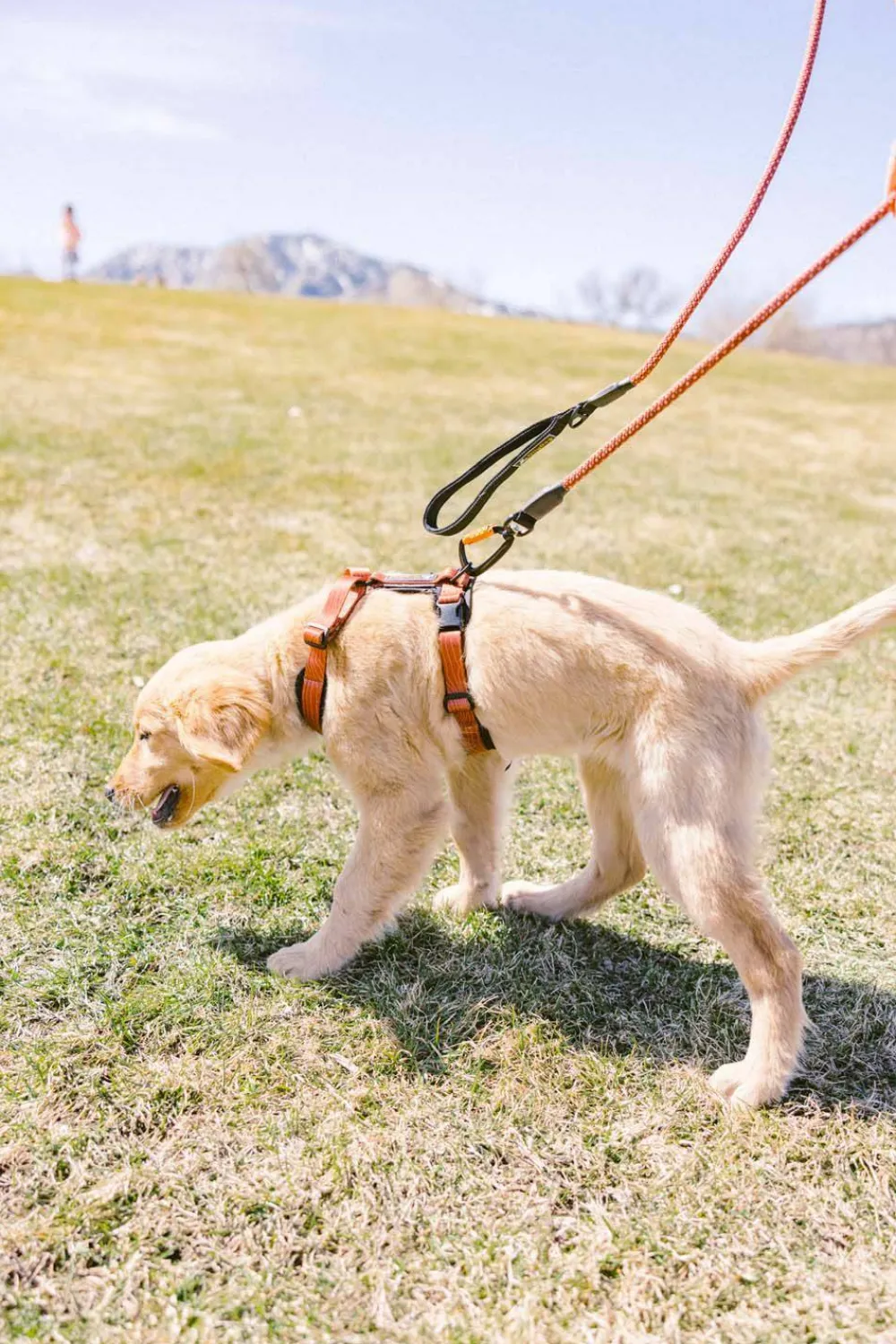 Hot OllyDog Alpine Reflective Comfort Harness Clay