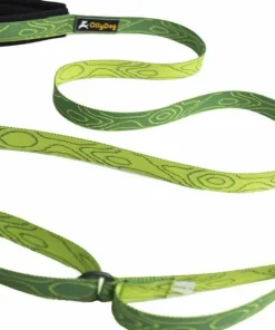 OllyDog Flagstaff Adjustable Leash Sage Bark
