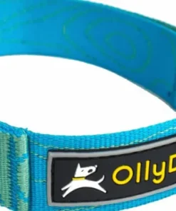 New OllyDog Flagstaff Collar Sky Bark