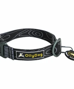 Online OllyDog Flagstaff Collar Raven Bark