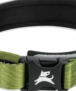 Sale OllyDog Flagstaff Reflective Comfort Collar Cactus