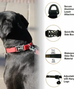Clearance OllyDog Tilden Collar Teal
