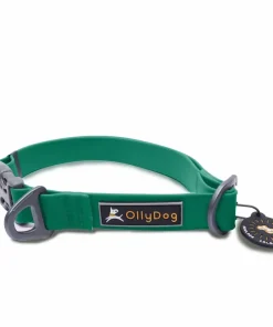 Clearance OllyDog Tilden Collar Teal