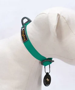 Clearance OllyDog Tilden Collar Teal