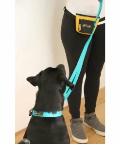 Clearance OllyDog Tilden Collar Teal