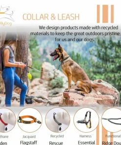 Clearance OllyDog Tilden Collar Teal