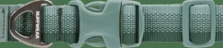 Best Ruffwear Front Range™ Collar River Rock Green