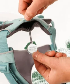 Discount Ruffwear Front Range® Harness River Rock Green