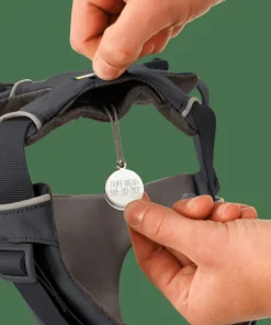 Best Ruffwear Front Range® Harness Basalt Gray