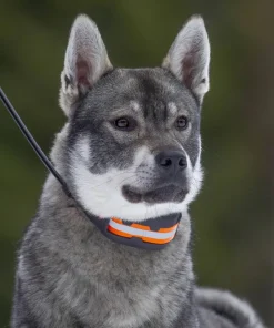 Online Tracker Artemis Black Svart